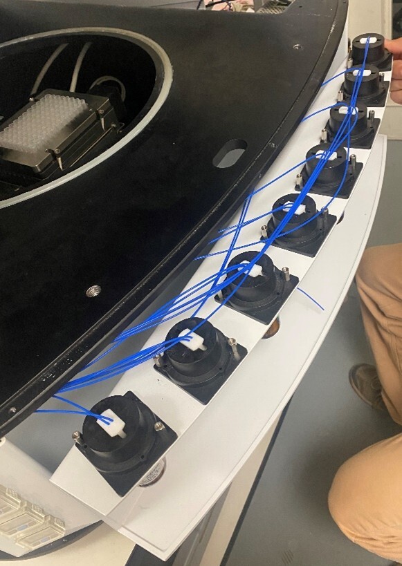 Picture18
